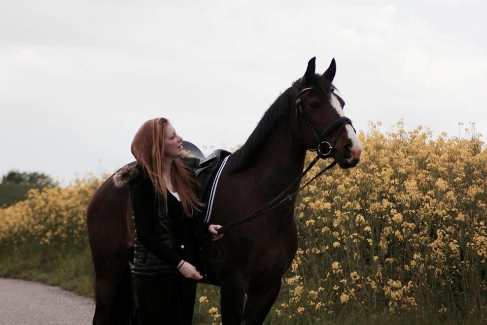 Anden særlig race Pedro El Valentino [Pede] - foto: min far billede 2