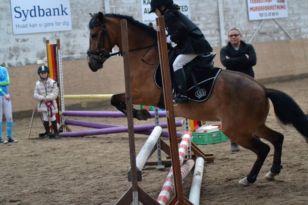 DSP Beauty billede 6