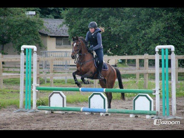 Anden særlig race Emma Embrace! billede 2