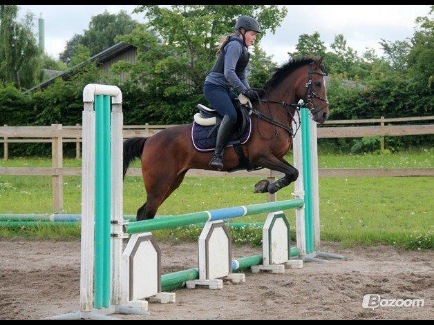 Anden særlig race Emma Embrace! billede 4