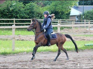 Anden særlig race Emma Embrace! billede 6