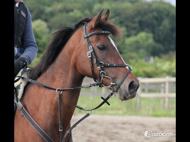 Anden særlig race Emma Embrace! - Min elskede stjerne! <3 billede 1