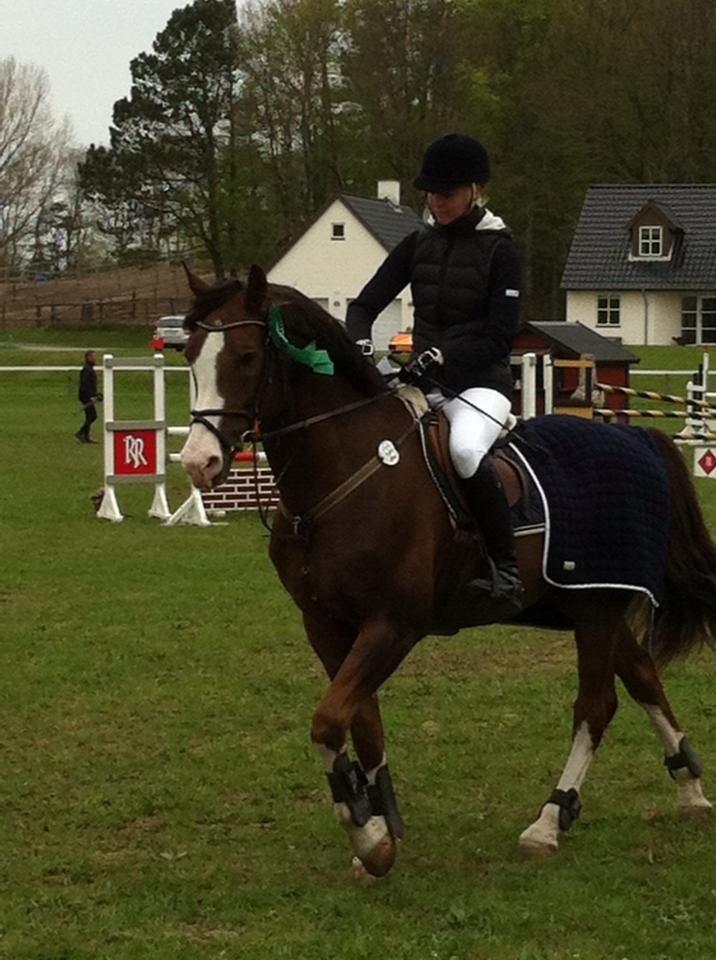 Anden særlig race Revall billede 19