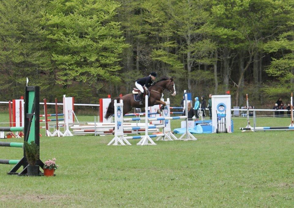 Anden særlig race Revall billede 20