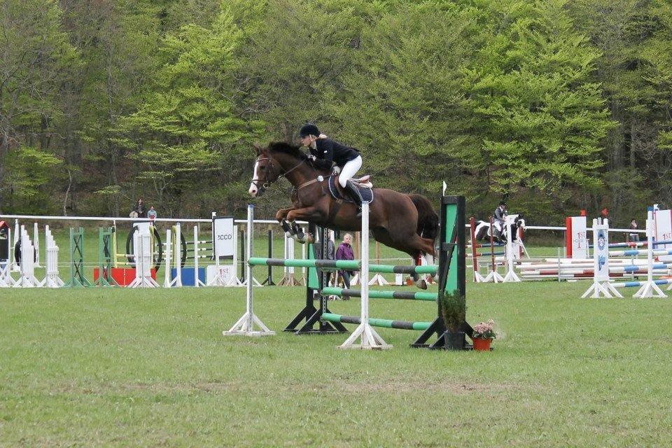 Anden særlig race Revall billede 21