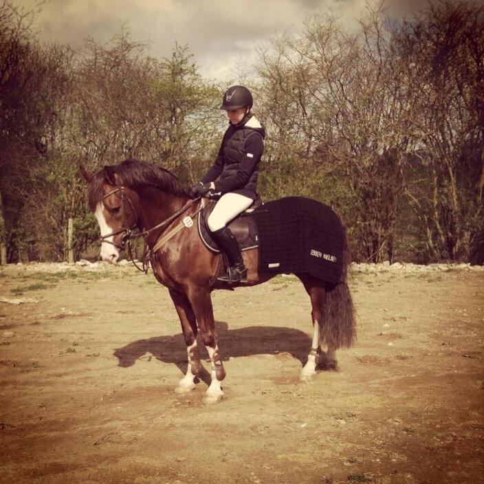 Anden særlig race Revall billede 22