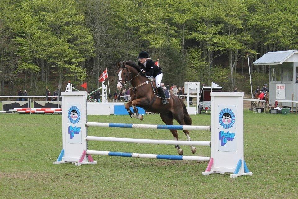 Anden særlig race Revall billede 23