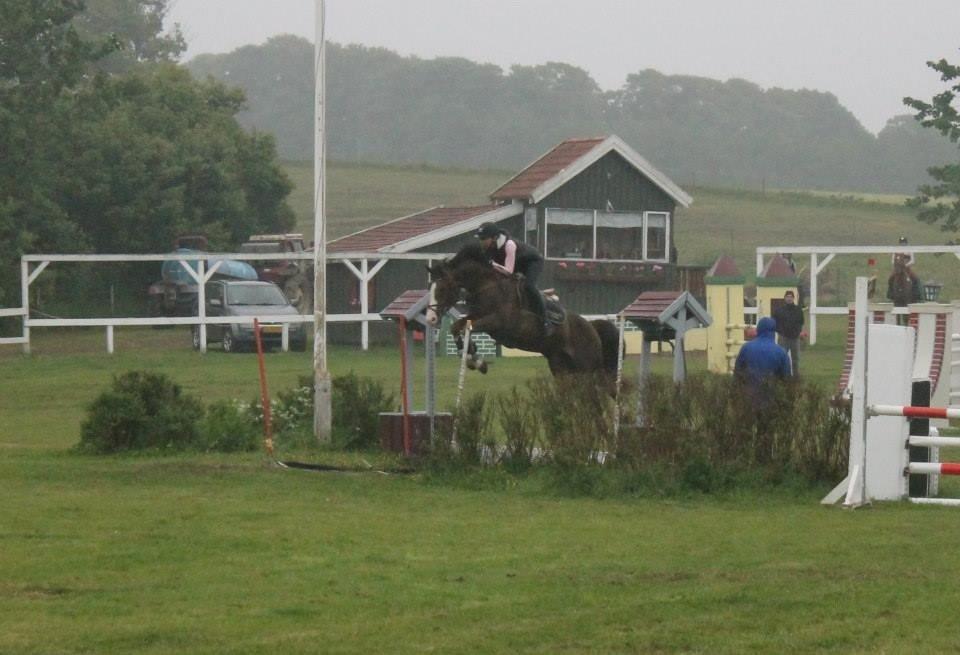 Anden særlig race Revall billede 24