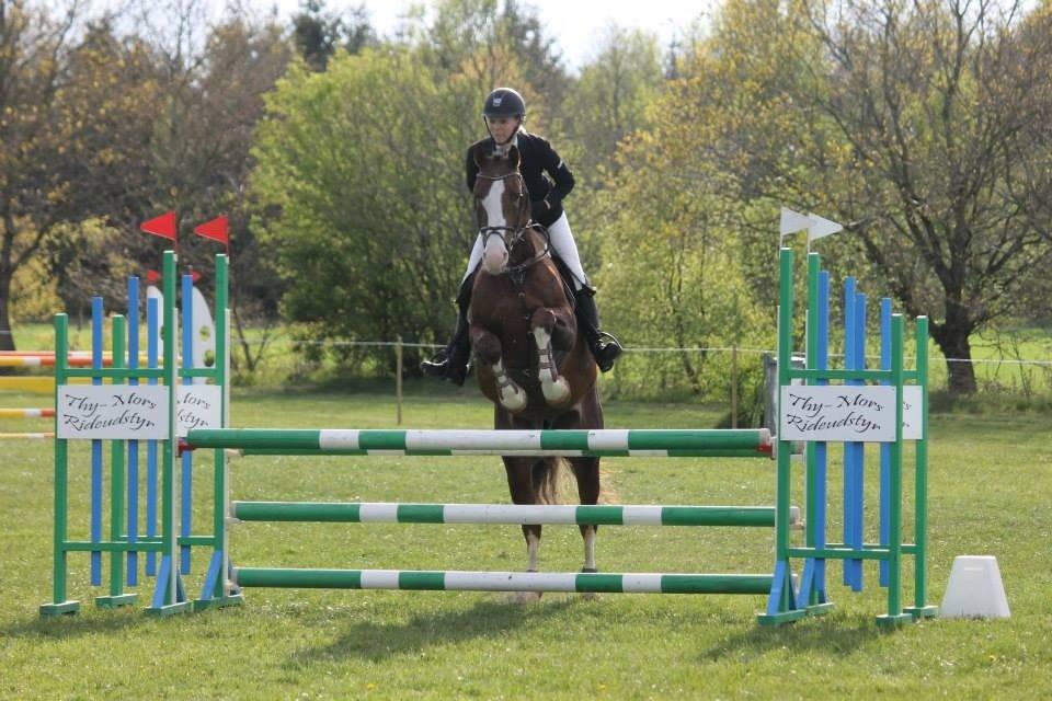 Anden særlig race Revall billede 29