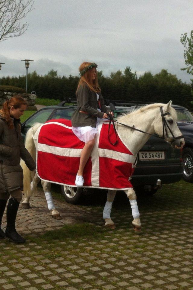 Anden særlig race Ghost Buster - Smukke Buster, som hentede mig som en overraskelse! <3 billede 2