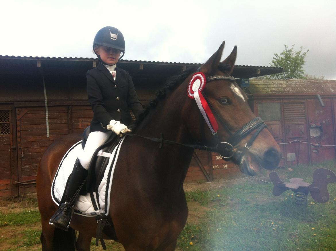 New Forest Stemar´s Blue Eye billede 10