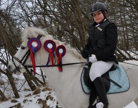 Anden særlig race Lukas ''Klubmester spring pony 2013''<3 billede 3