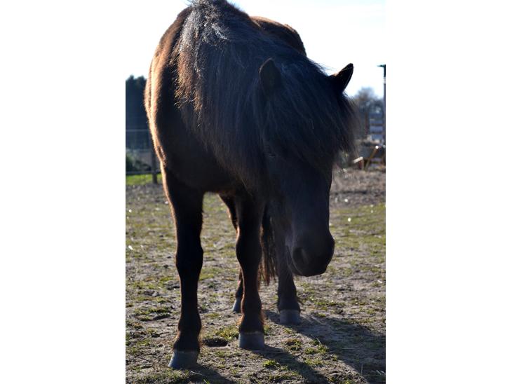 {{currentPhoto.altText}} billede {{currentPhoto.number}}