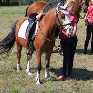 Anden særlig race Blue eyes<33!(tidl. part:')