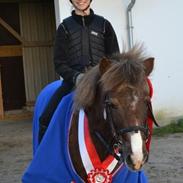 Anden særlig race Klokkeblomst