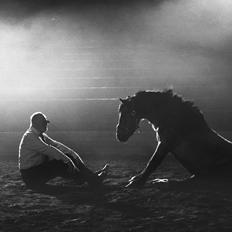 Welsh Mountain (sec A) Odysseus <3  *-*R.I.P*-*