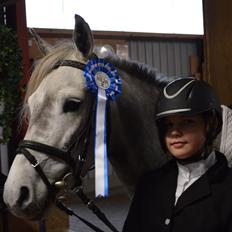 Welsh Partbred (Sec F) Bakkegaarden's Kira ''Grisen''