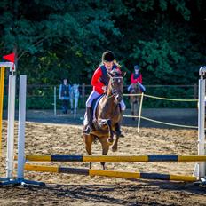 Welsh Pony (sec B) Bjerregaards Katja (Damp-Åse)