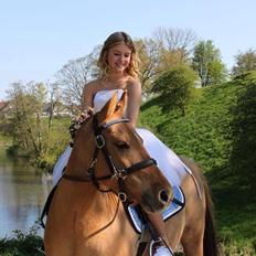 Anden særlig race Shamrocks Lotte