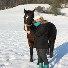 Connemara Limelight (Tidl part)