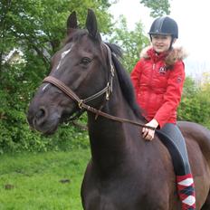 Anden særlig race †Charlie Brown R.I.P†