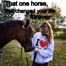 DSP Rolighedens Embla