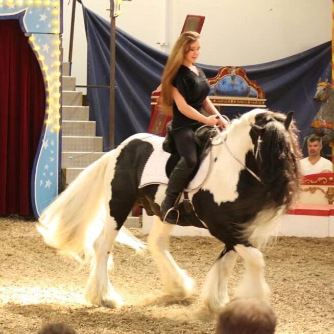 Irish Cob Lord Wellington Of England ( Welle) - Welle og jeg i Cirkusland 2012 billede 6