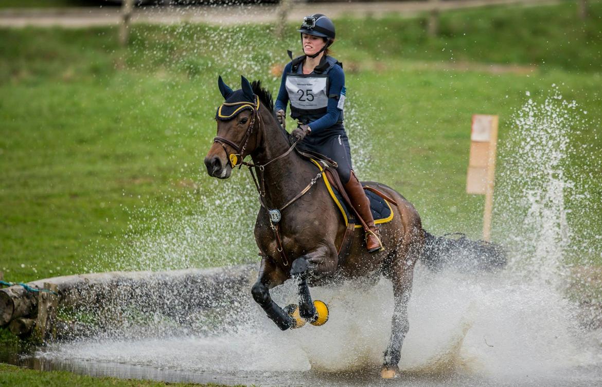 Dansk Varmblod Fyrstinde Temptation S.G. - cnc90 Skårupovergaard april 2014 billede 18