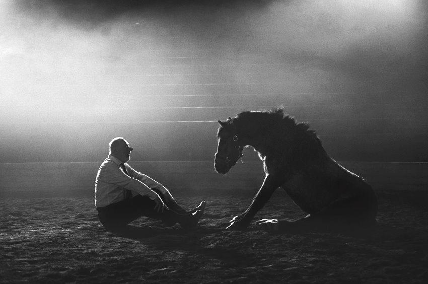 Welsh Mountain (sec A) Odysseus <3  *-*R.I.P*-* - Oddyseus og thomas roos Orionteatern 2012 billede 1