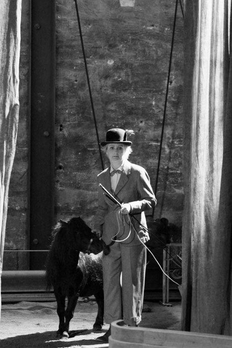 Shetlænder Luie - Mama & Lui <3 billede 1