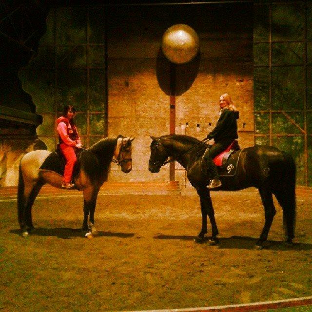 Pura Raza Española Altanero CRE - Altanero & Meloso PM  billede 5