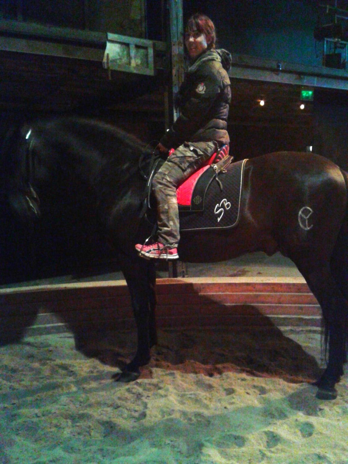 Pura Raza Española Altanero CRE - Altanero og maini Stockholm 2014 billede 18