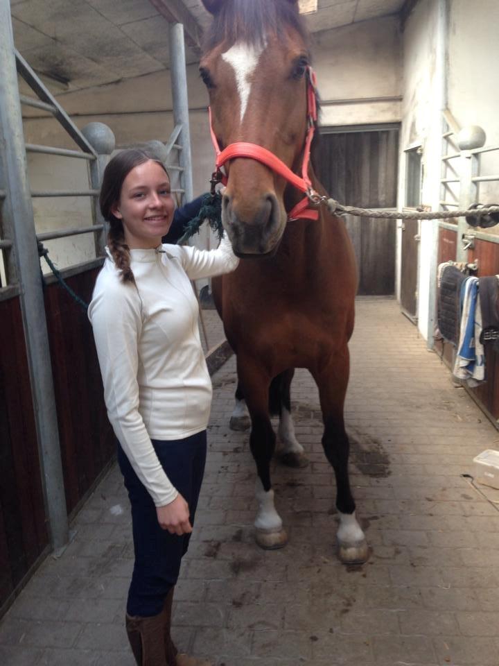 Dansk Varmblod Egely's Calib - Veninde på billedet. billede 4