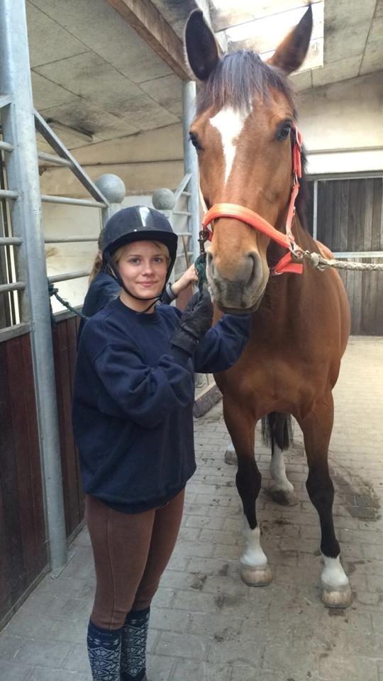 Dansk Varmblod Egely's Calib - Veninde på billedet. billede 5