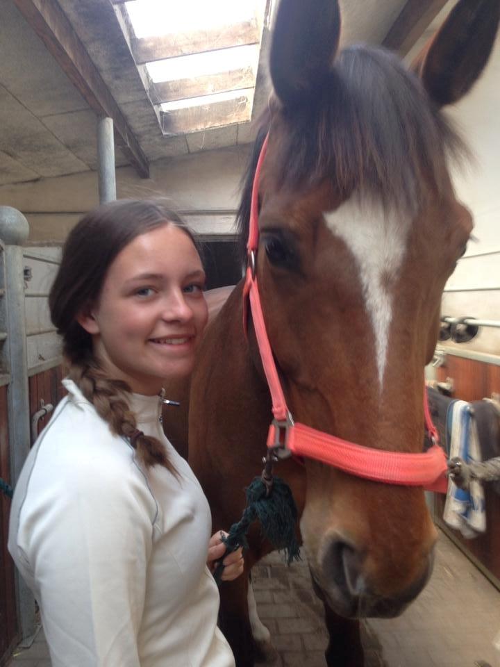 Dansk Varmblod Egely's Calib - Veninde der er på billedet billede 3