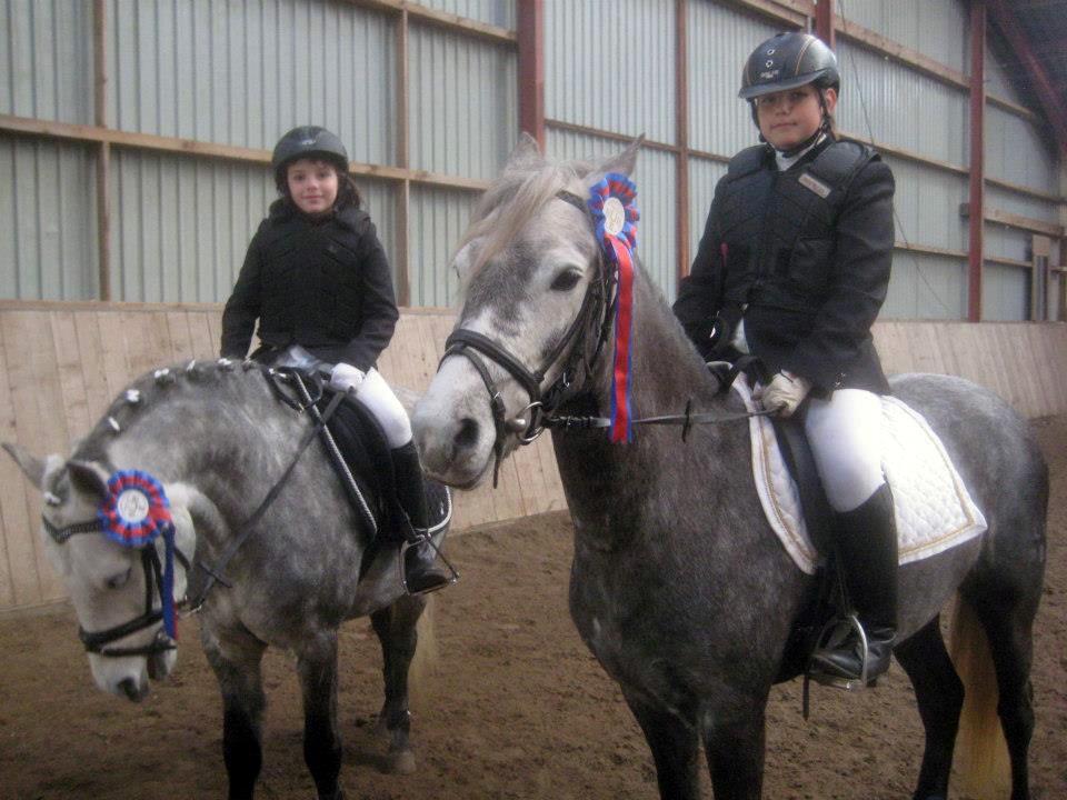 Welsh Partbred (Sec F) Bakkegaarden's Kira ''Grisen'' - Kira og hendes helbror Sputnik  billede 14