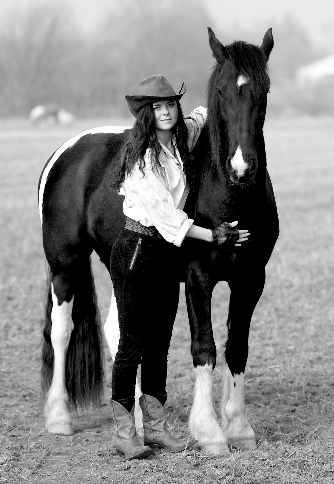 Tobiano Friesian ~Bentley~ af Bølå billede 6