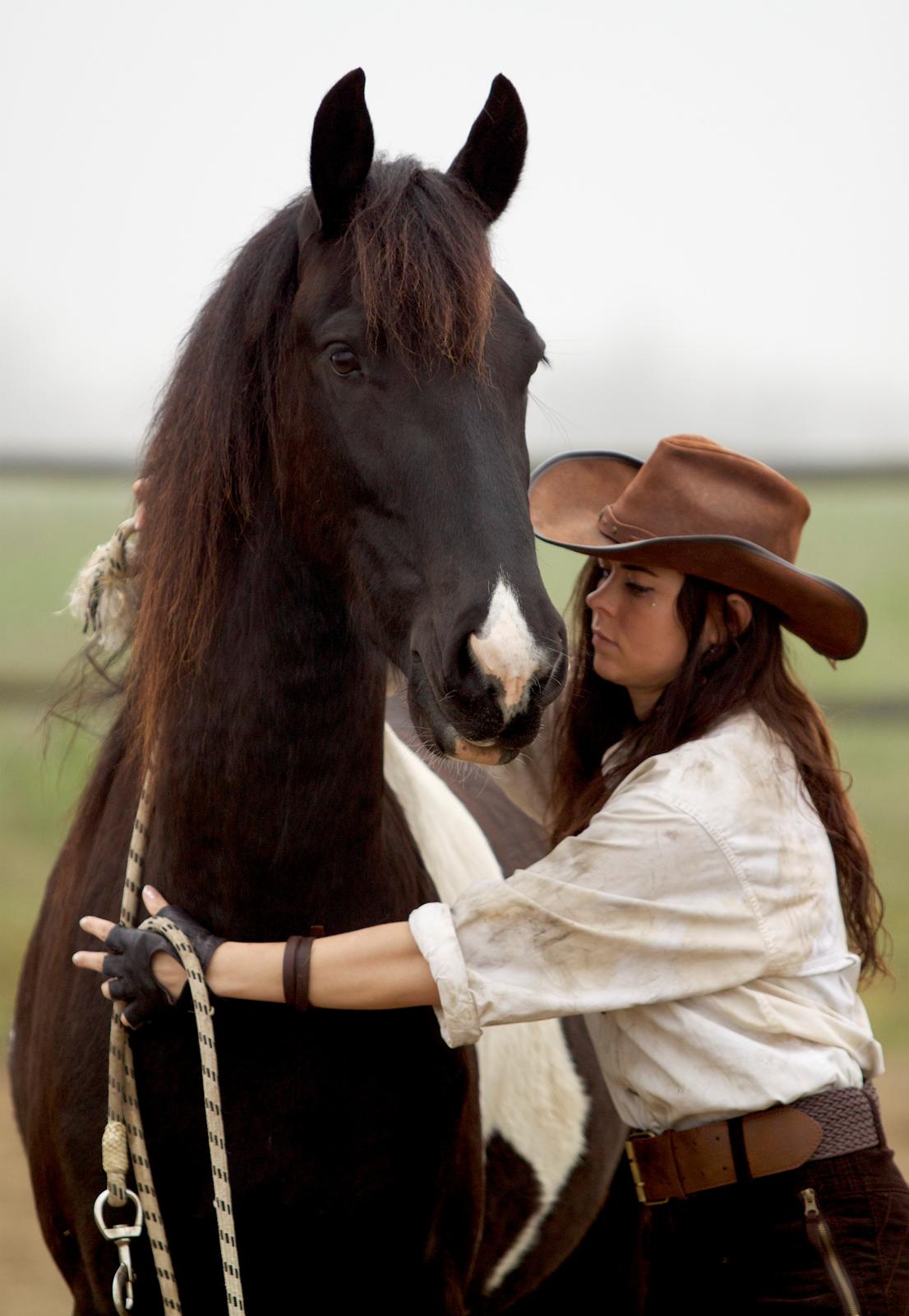 Tobiano Friesian ~Bentley~ af Bølå billede 11