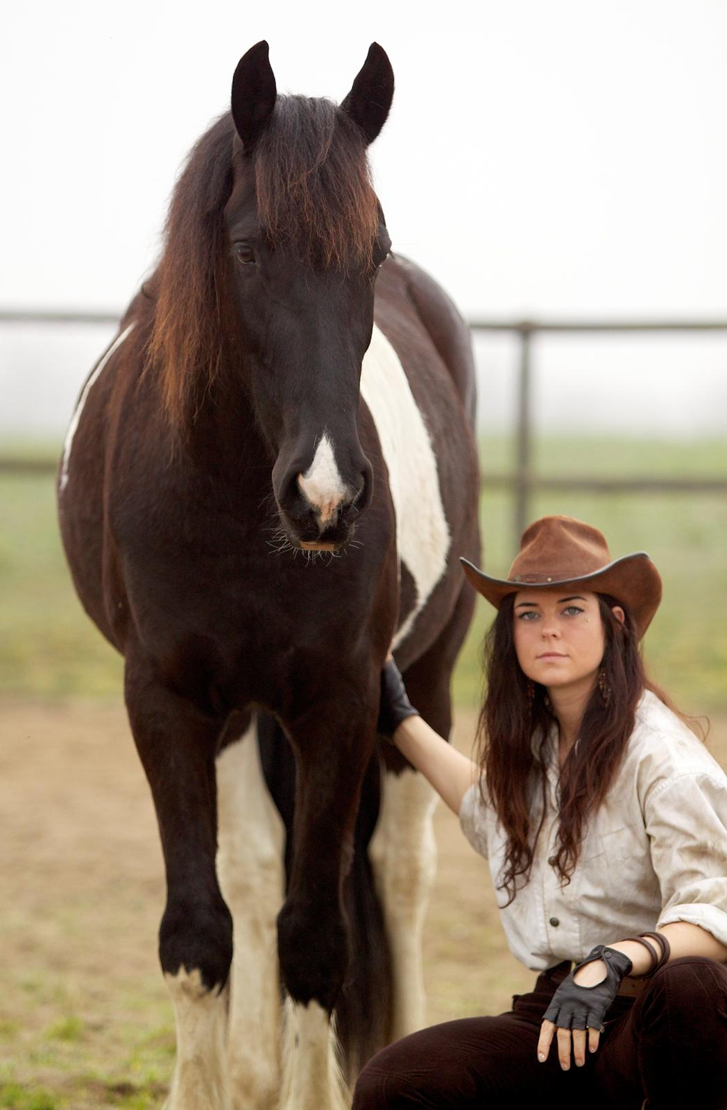 Tobiano Friesian ~Bentley~ af Bølå billede 47