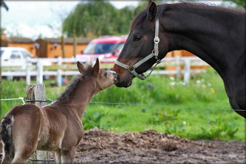 DSP Fredbo´s Zip code - "Hvem er duu??" billede 7