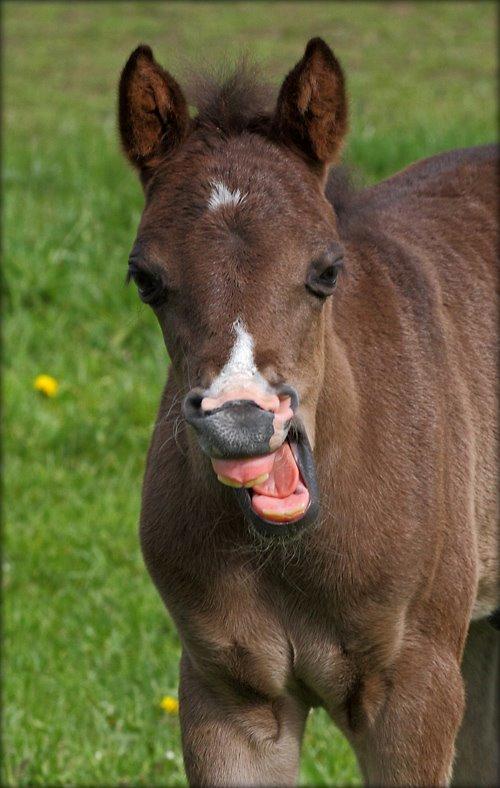 DSP Fredbo´s Zip code billede 8