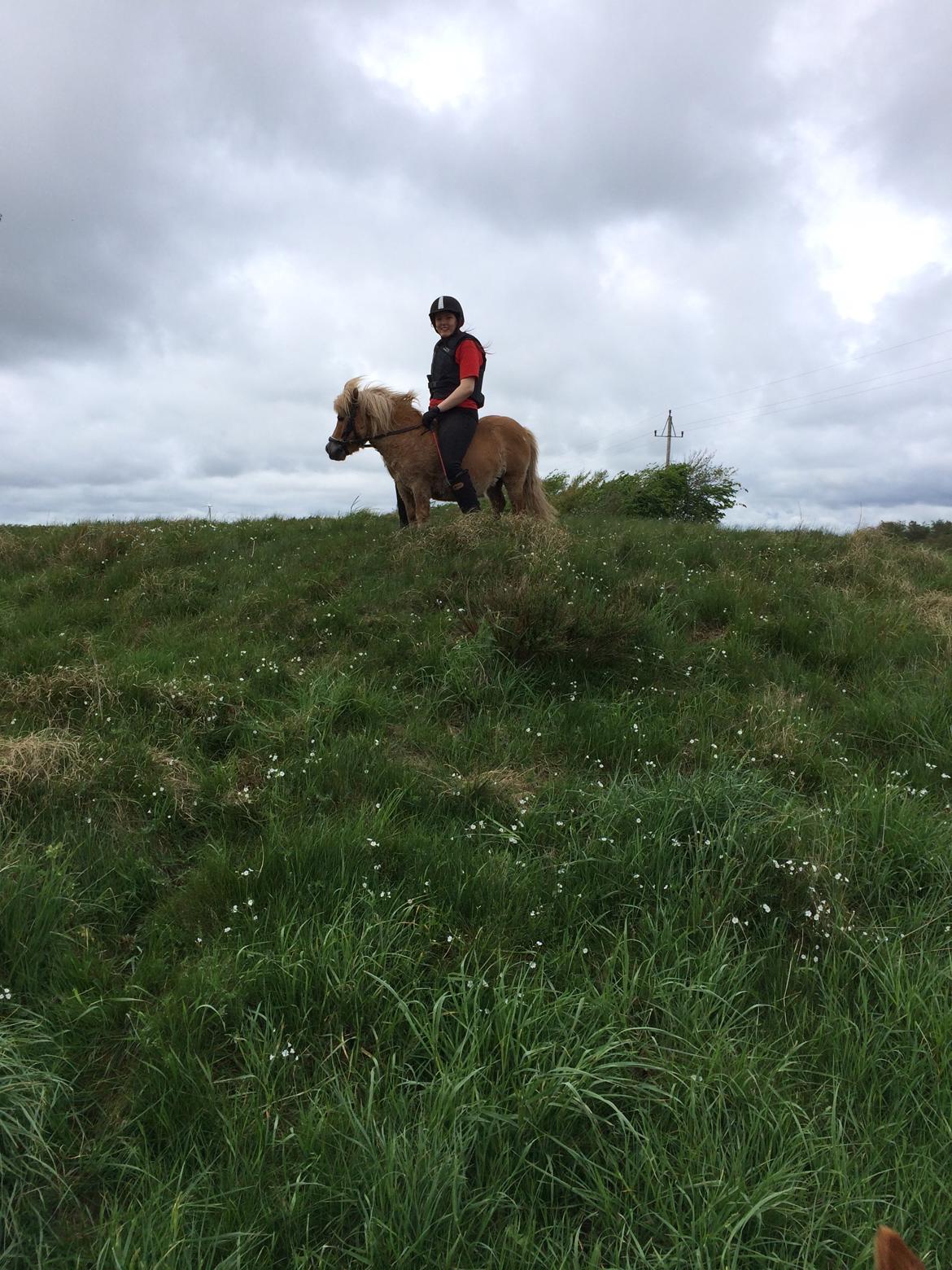 Miniature Siljan <3 billede 10