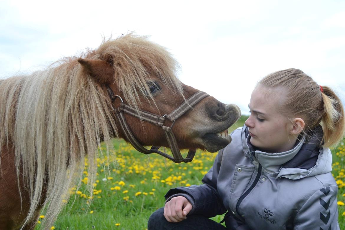 Miniature Sifa. - sifa smiler maj 14 foto Louise. billede 10