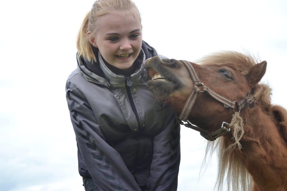 Miniature Sifa. - sifa smiler. Maj 14 foto Louise. billede 8