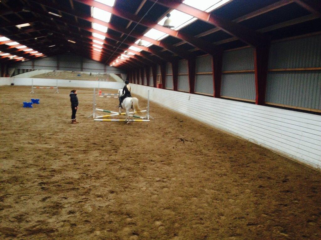 Anden særlig race Turgon - Første springundervisning!<3 billede 18