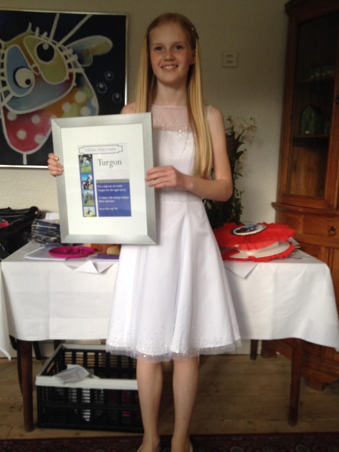 Anden særlig race Turgon - Da jeg fik ham til min konfirmation!<3 billede 24