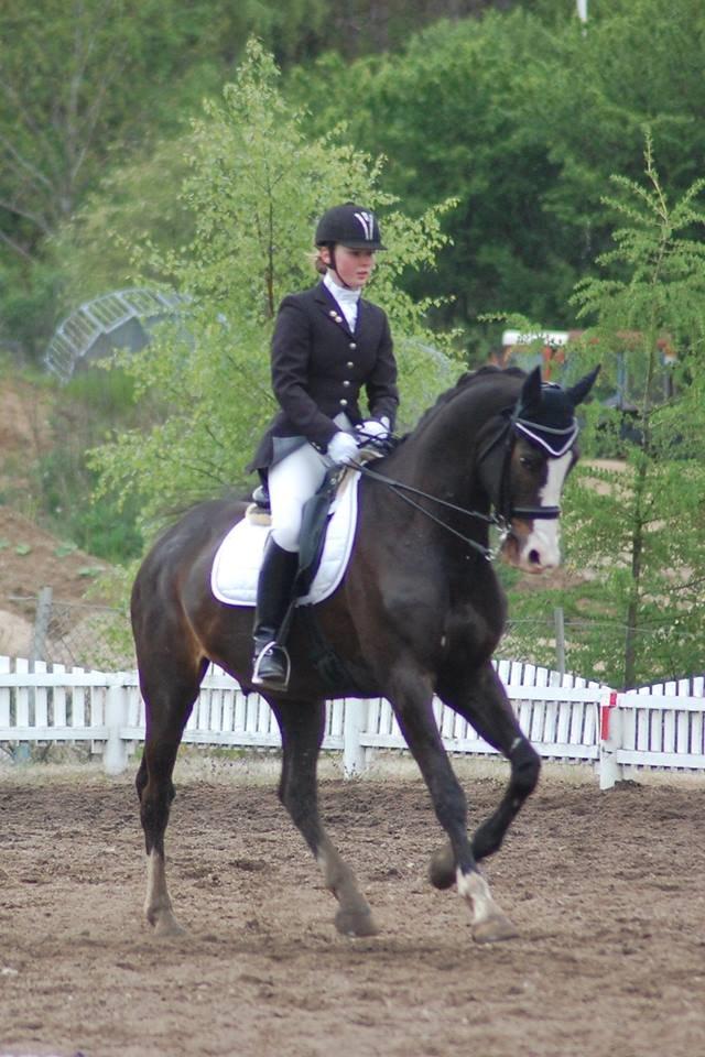 Dansk Varmblod Sant Jordi´s Mccoy, B-Hest billede 16