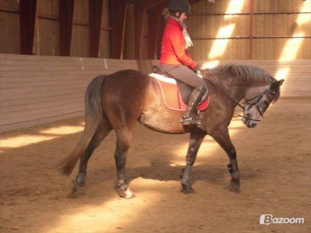 Anden særlig race Sahvanna billede 1