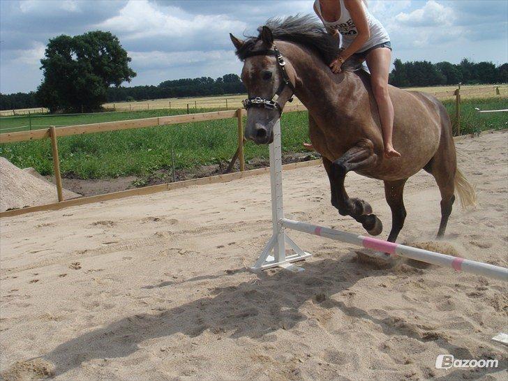 Anden særlig race Sahvanna billede 5