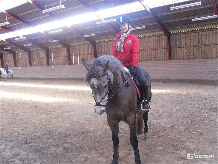 Anden særlig race Sahvanna billede 2